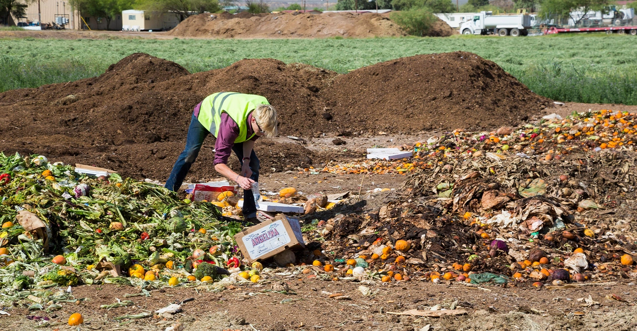 Composting Services