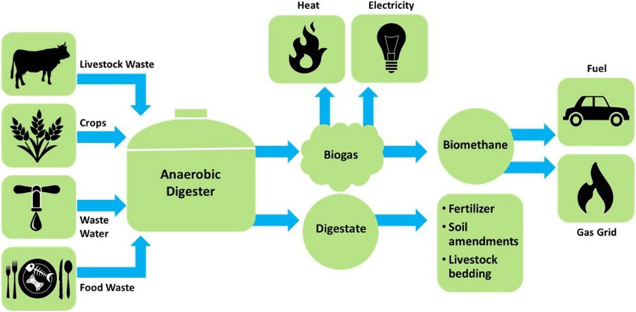 Waste-to-Energy